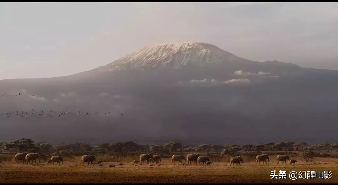 “这简直是草原上的灾难片，有人烧2.5亿拍出来毁一代人的童年”