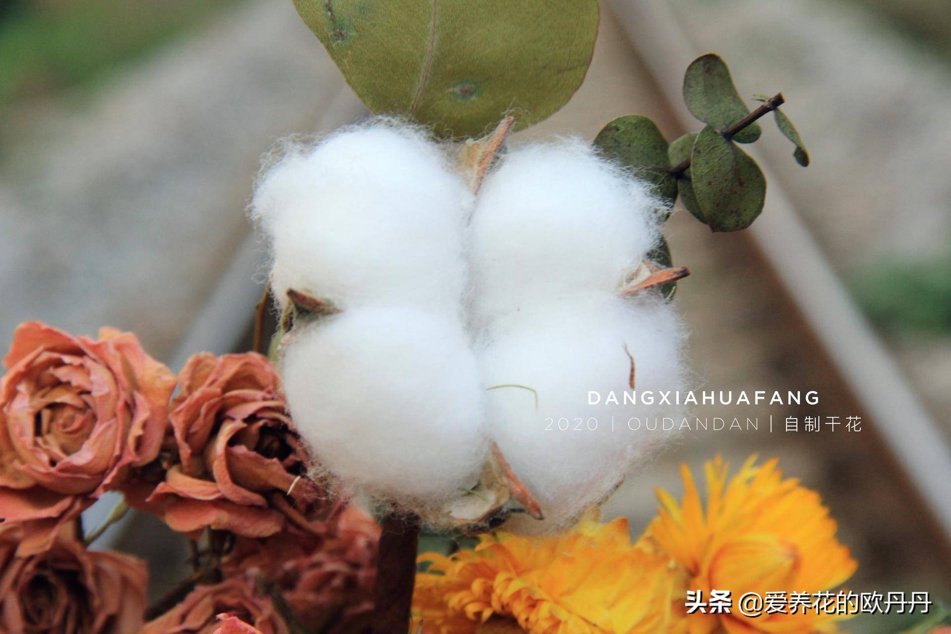 干花diy相框儿童,干花diy相框自制