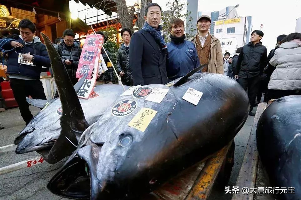 日本景点好玩好吃好看,去日本有哪些好吃的和好玩的