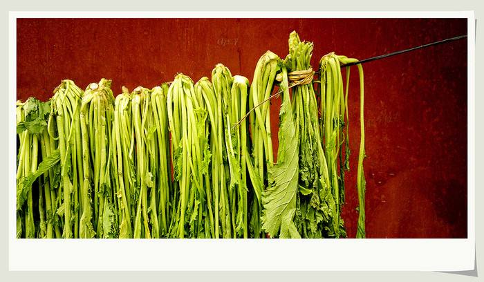 雪里蕻腌菜做法大全,雪里蕻做腌菜什么时候做最好