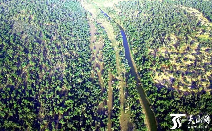 六月的新疆兵团,六月的新疆还有什么节日