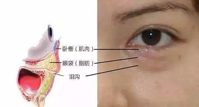 鏈変簡婊ら暅鍐嶅ぇ鐨勭溂琚嬮兘涓嶆槸浜嬪効,鍏眰婊ら暅