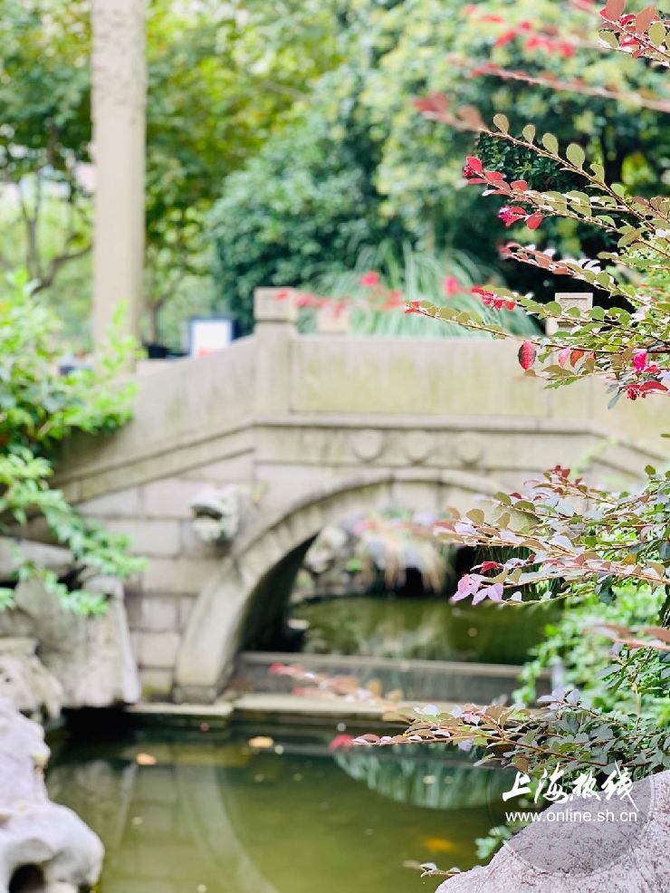 上海徐家汇公园特点,上海徐家汇公园看点