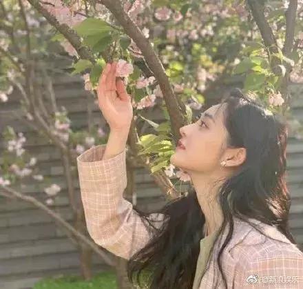 林允帮闺蜜辟谣反被群嘲,什么时候才能改改猪队友体质...