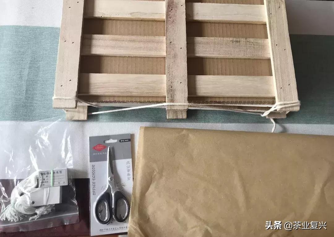 野生植物学家的标本制作指南