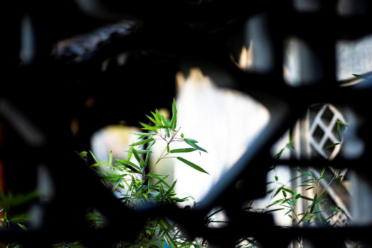 松下lumixs5人像,松下lumix7-14mmf4.0测评