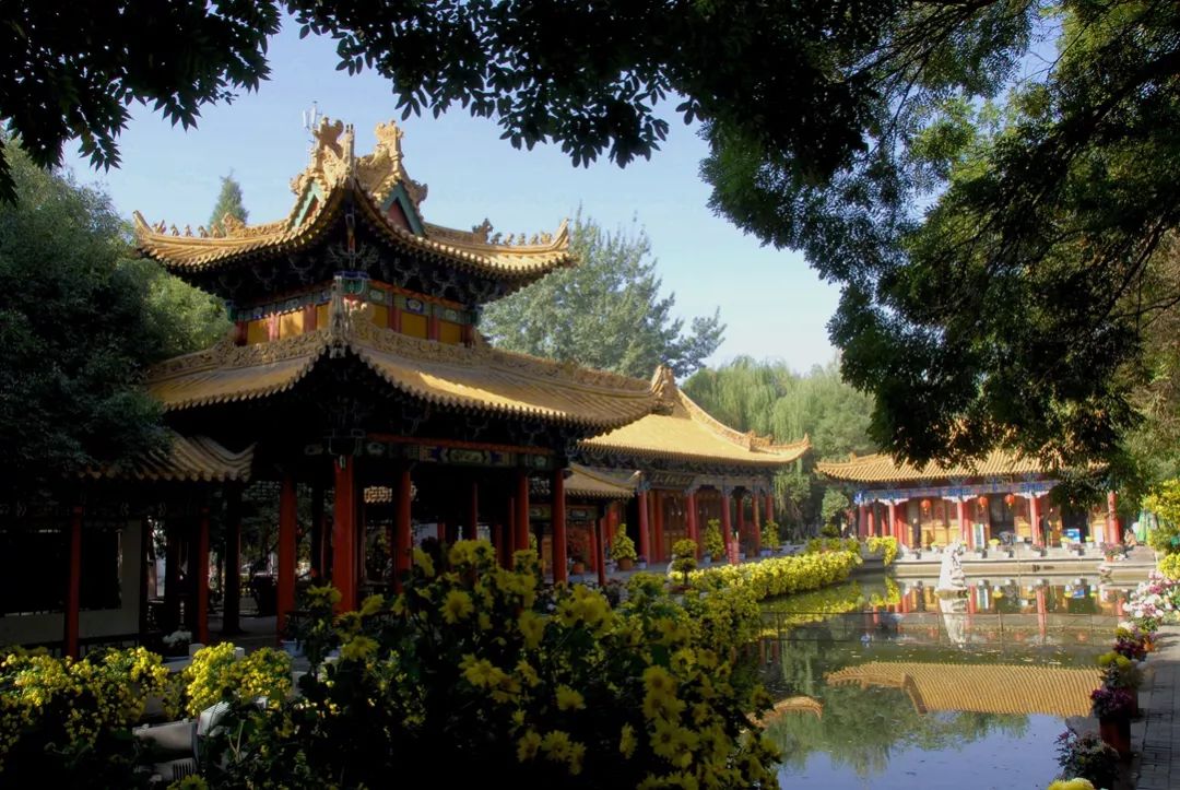 去一次大西北等于远行十次,去宁夏旅游的最佳地方