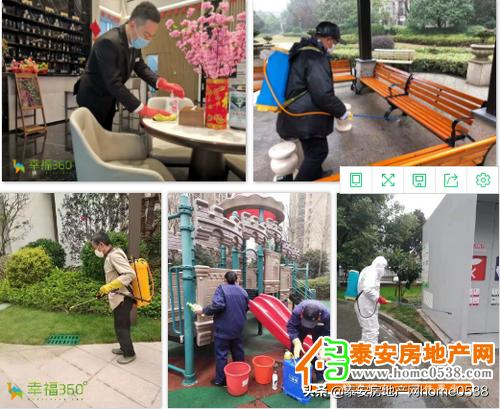 瀹夋嘲鍚炬偊骞垮満,鏄ユ殩鑺卞紑鍚炬偊骞垮満