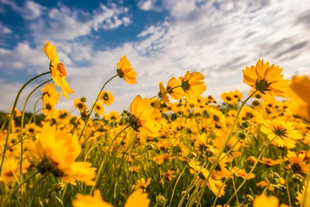 3分钟新闻早读,早读新闻60秒