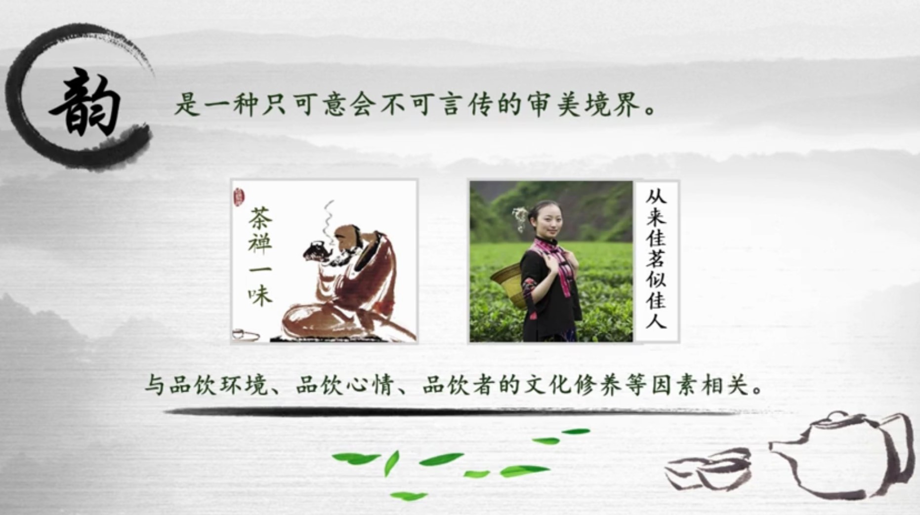 茶叶的外形鉴赏,茶叶的鉴赏