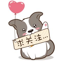 浙商人非洲确诊花百万包机回国,飞机票如何打印报销凭证?