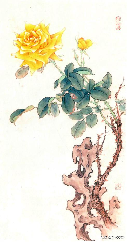 国画月季画法视频教程,工笔月季枝干的画法
