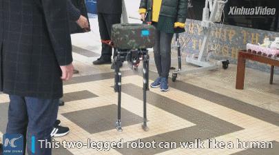 中国有双足机器人吗,中国人工智能双腿机器人