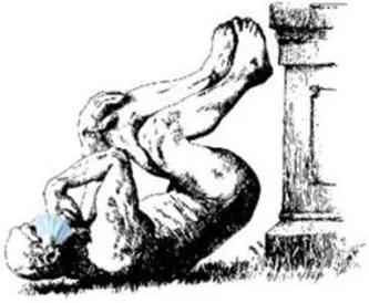 第20届搞笑诺贝尔奖,2019第29届搞笑诺贝尔奖揭晓