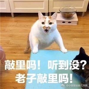 90后和00后的代沟合集,90后跟00后的代沟是挺大的