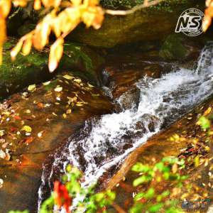 游钓篇｜渔在熊猫故里