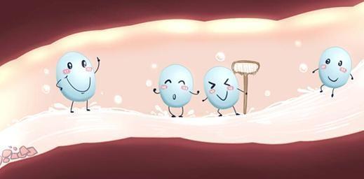 如何提高营养和免疫力,三餐营养搭配提高免疫力