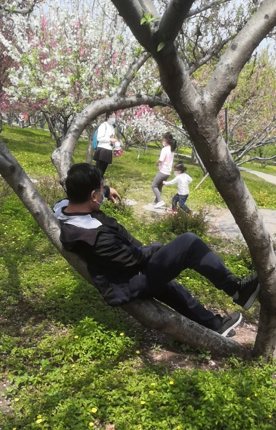 泰达广场花海,泰达花海美景图片