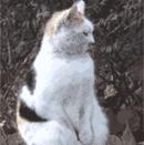 *处私**痒痒痒，「洗洗」能止痒？你还要被骗多久