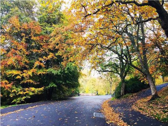 英国利兹大学申请,英国常春藤罗素集团