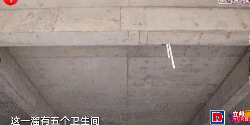 5位单身阿姨，抱团买房养老，520平189W装成山间别墅