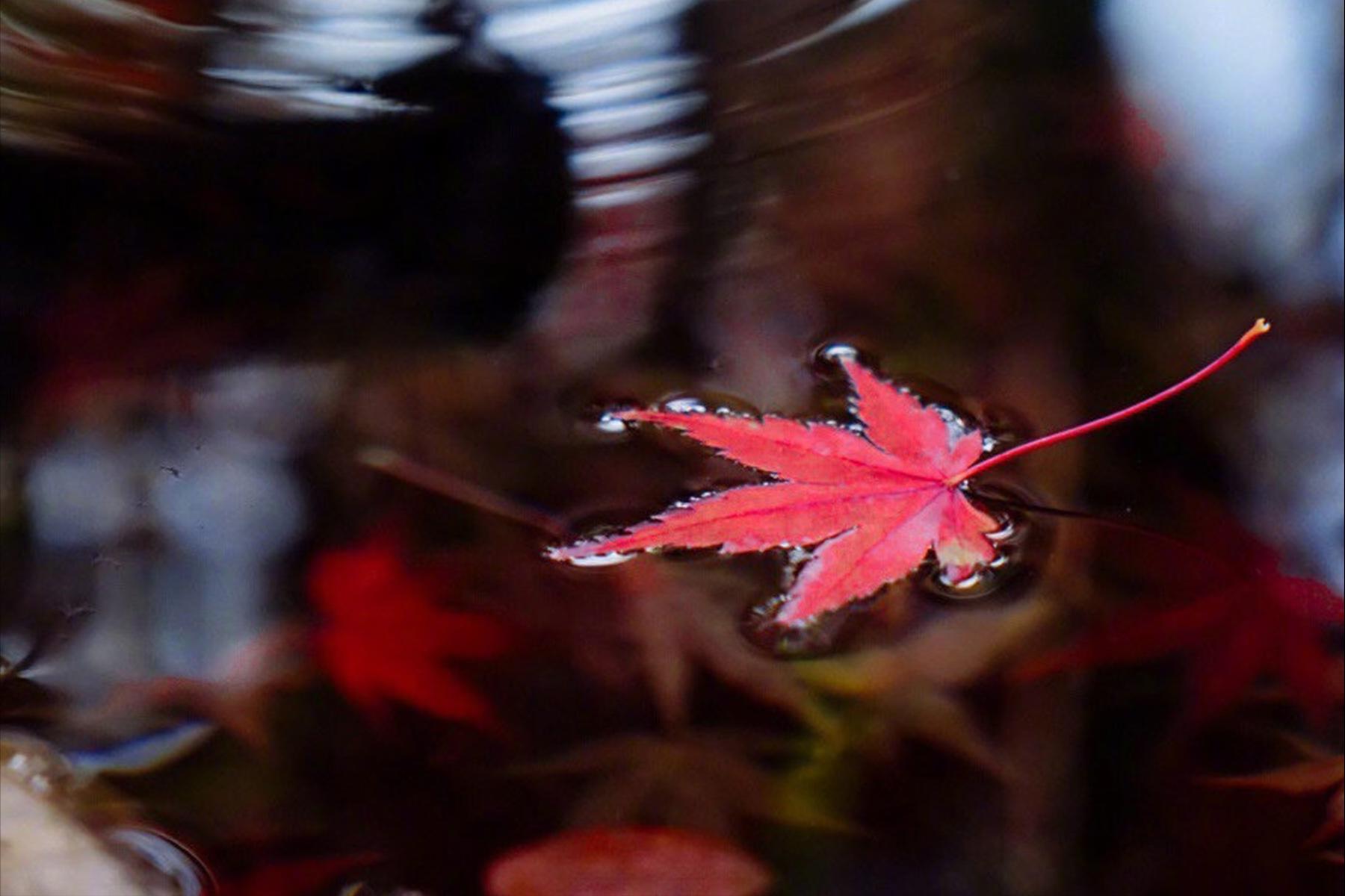 安宁的意思有什么区别,安宁的含义是什么