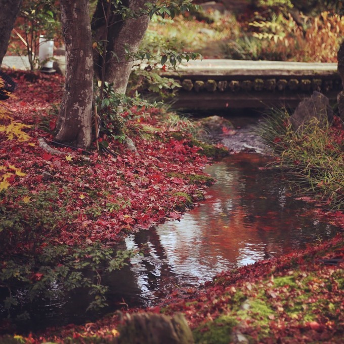 日本京都枫叶季旅游攻略,日本关西赏枫旅游攻略