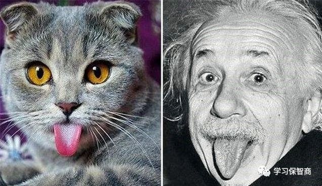 父母脑梗后谁照顾,父母被孩子气得脑梗