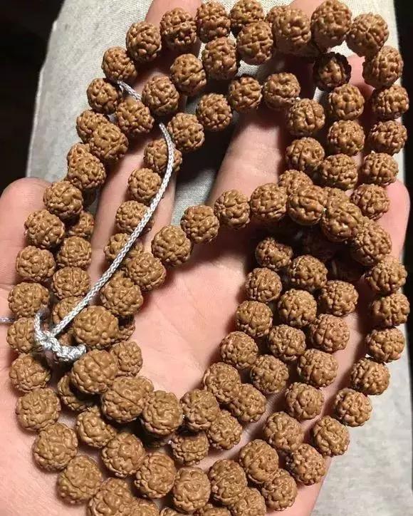 金刚贵贱区别,金刚菩提多久能红