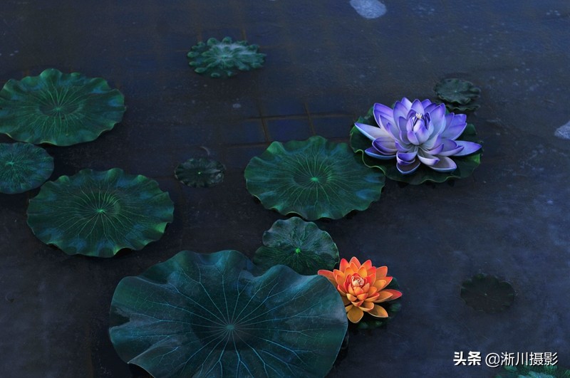 中国第一圣地法门寺,法门寺大慈恩寺