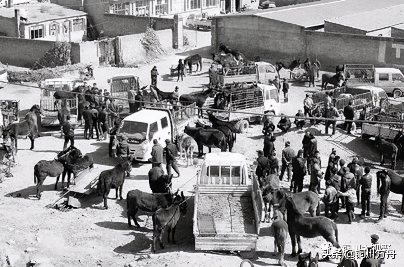 还记得当年啤酒的味道吗,铜川有什么啤酒品牌