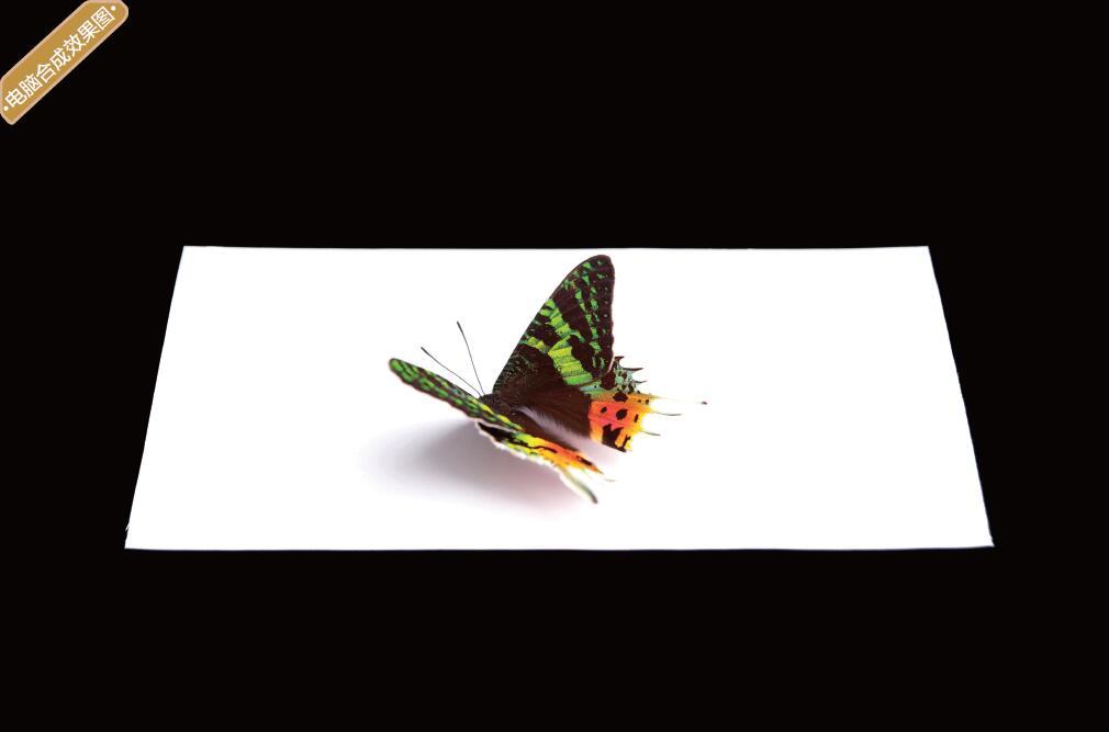 3d错觉画教程,3d错觉画作品