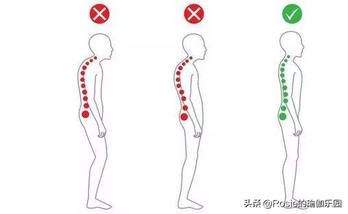 真翘臀和假翘臀怎么辨别,怎样判断翘臀是不是假的