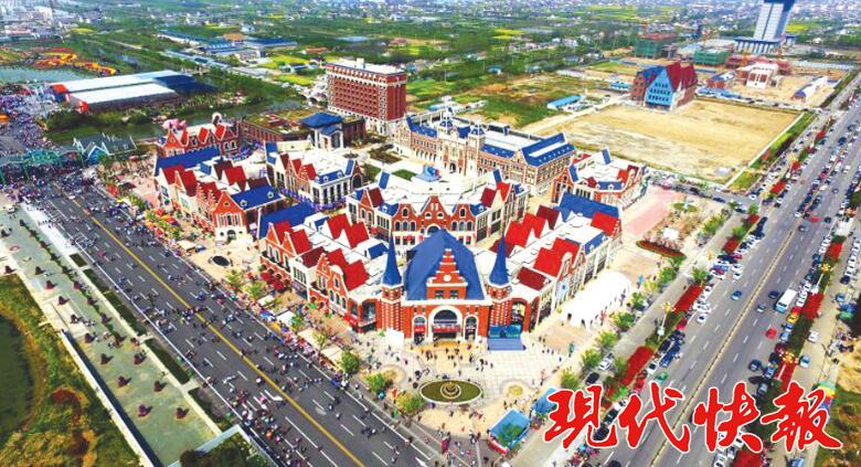 荷兰花海万众瞩目,荷兰花海阳光明媚