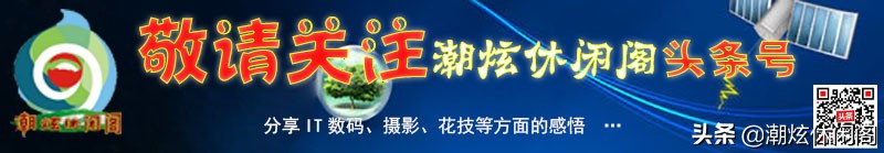 用电脑如何查看连接的wifi密码,笔记本电脑怎么连接有密码的wifi