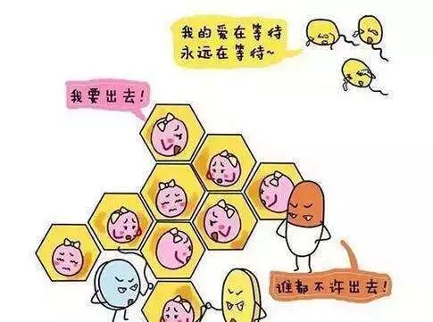 激情时刻，你会选择哪种避孕方法？这些避孕法，极不靠谱，慎用