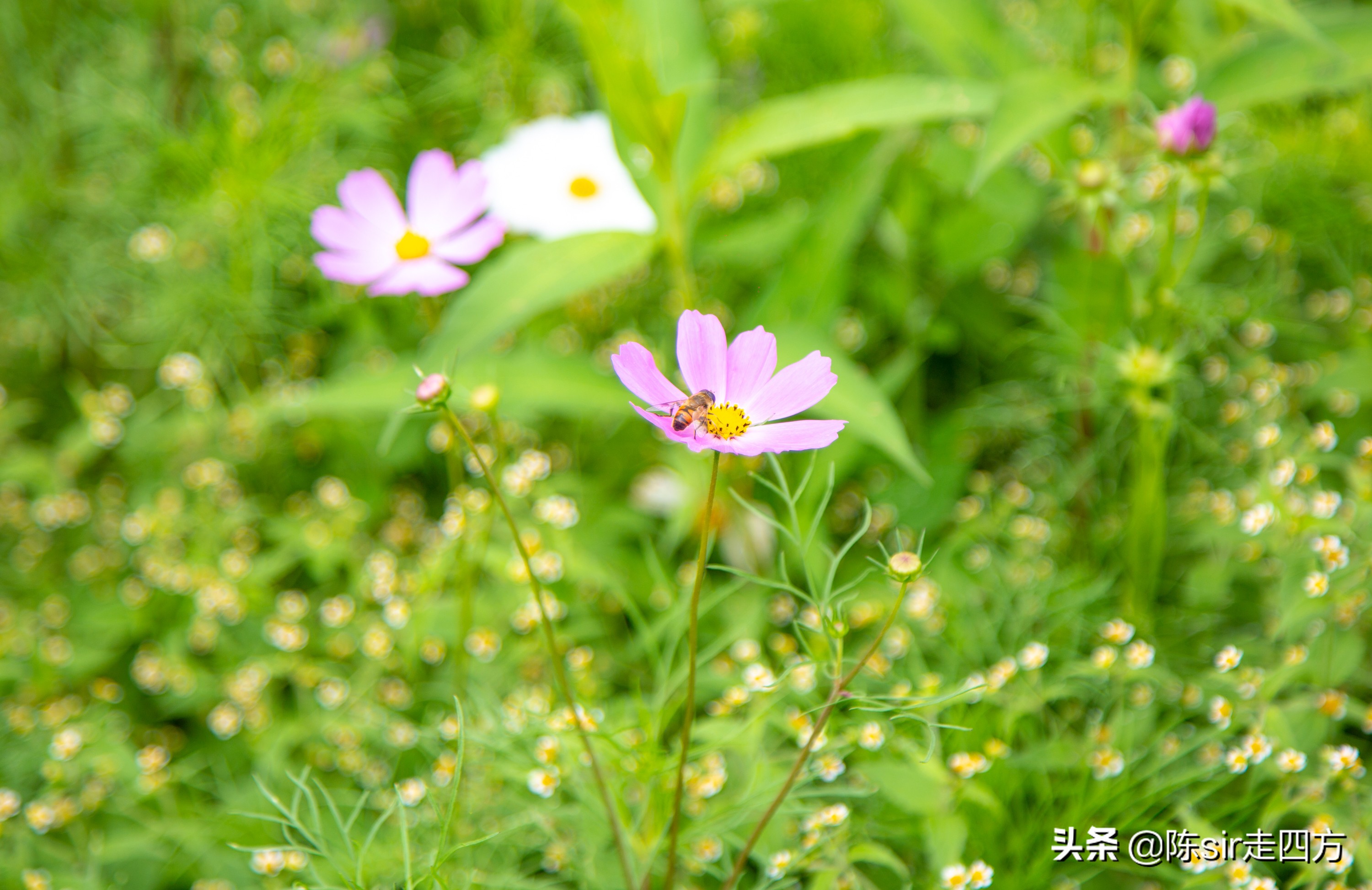 重庆到桐梓自驾游攻略路线,重庆到贵州桐梓三日游最佳路线图