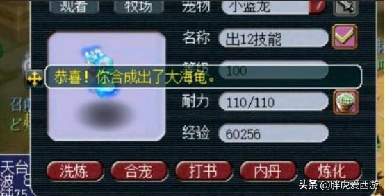 梦幻西游新版本大唐带杀气诀合适,梦幻西游大唐官府斩龙决