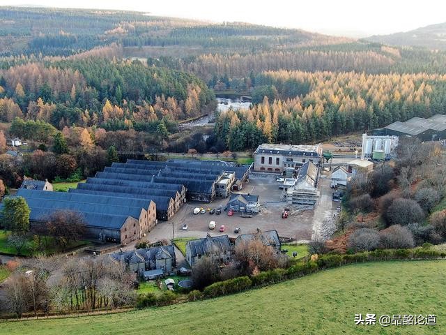 都说自己是“小麦卡伦”，到底哪家才真正具有麦卡伦的基因？