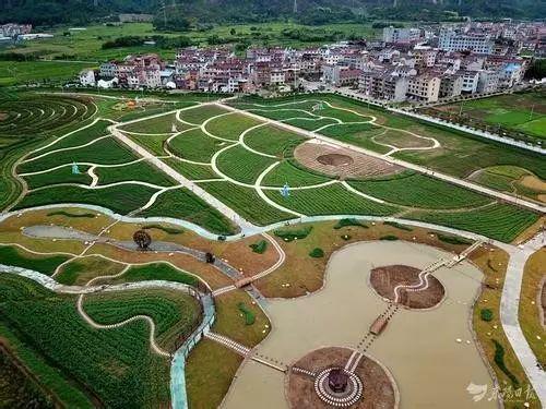 在广州打拼的人,广州人都在看什么