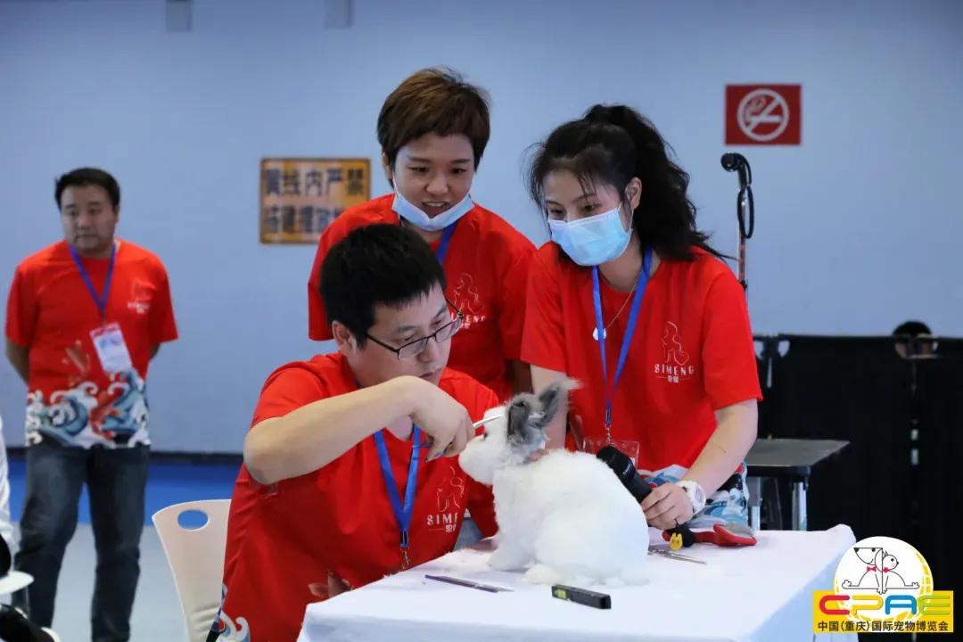 第二届天一重庆国际宠博会,宠博会重庆2020