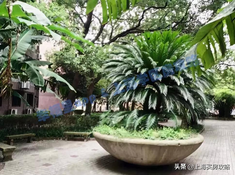 民办摇号学校有哪些,上海民办摇号哪些初中难上