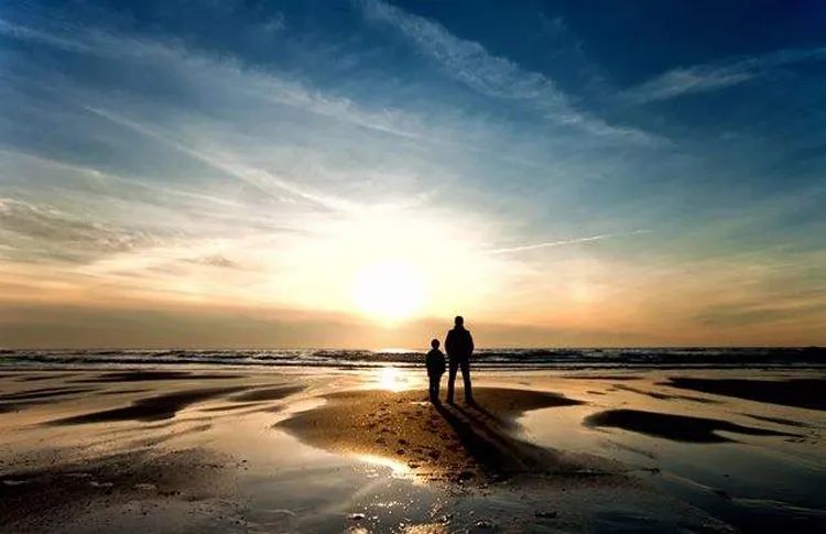 零基础学摄影从入门到精通100集,摄影入门从哪里学起比较好