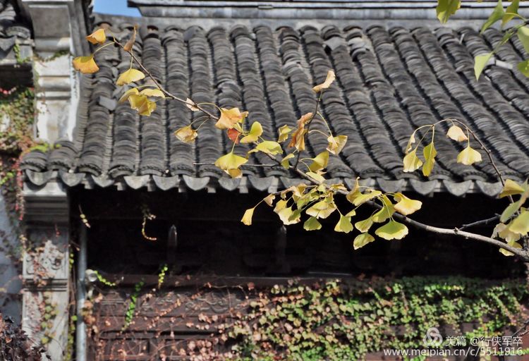 无锡有几个古镇免费景点排名,无锡古镇旅游景点排名前十