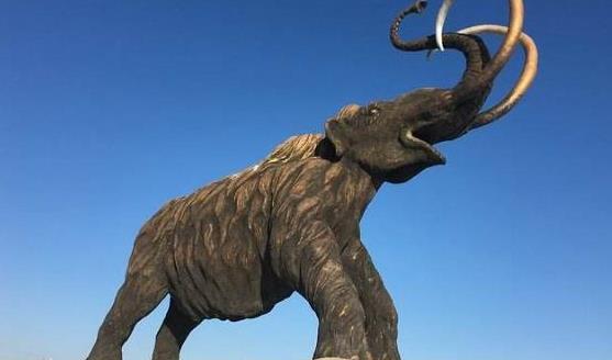 猛犸象是灭绝最晚的史前动物,猛犸象是怎么灭绝的