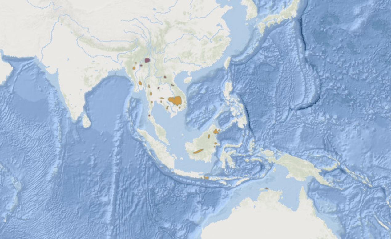 宸ㄥ瀷鐖搰閲庣墰,鏁戞彺鐖搰閲庣墰