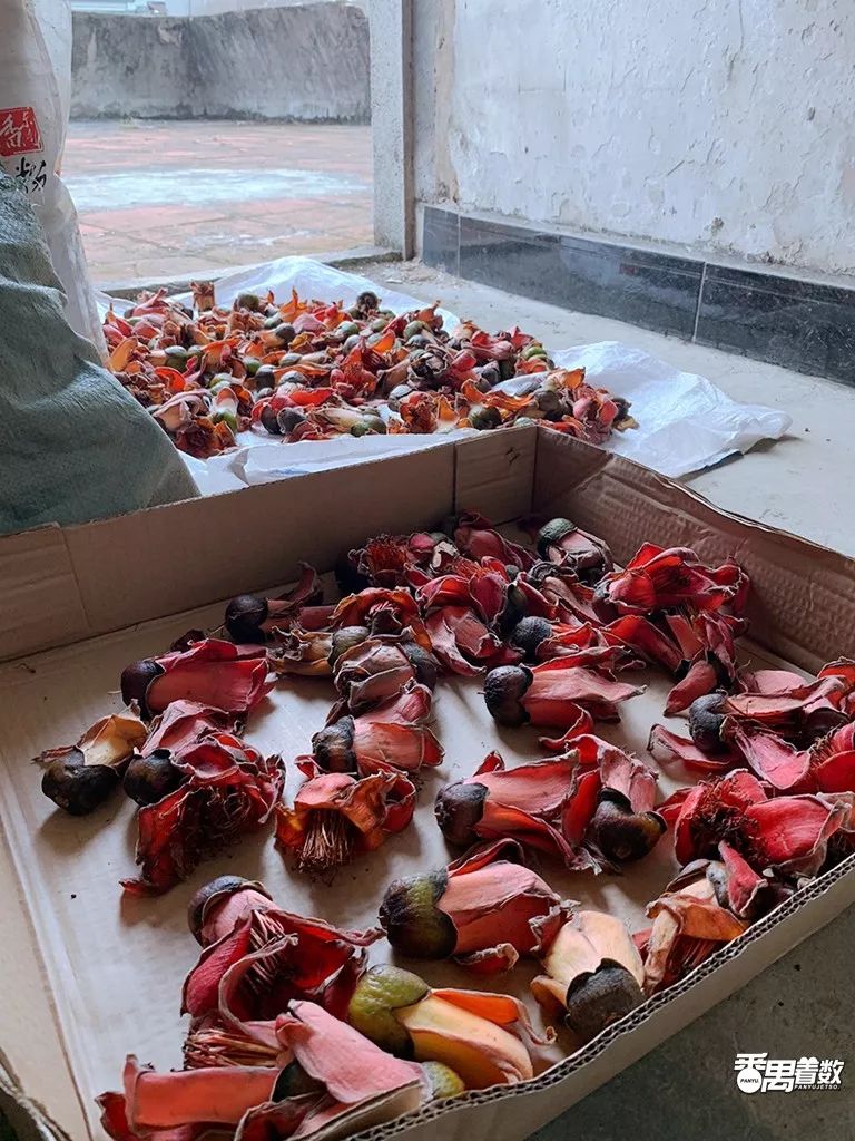 在广州番禺哪里住得舒服,在番禺住哪里比较好