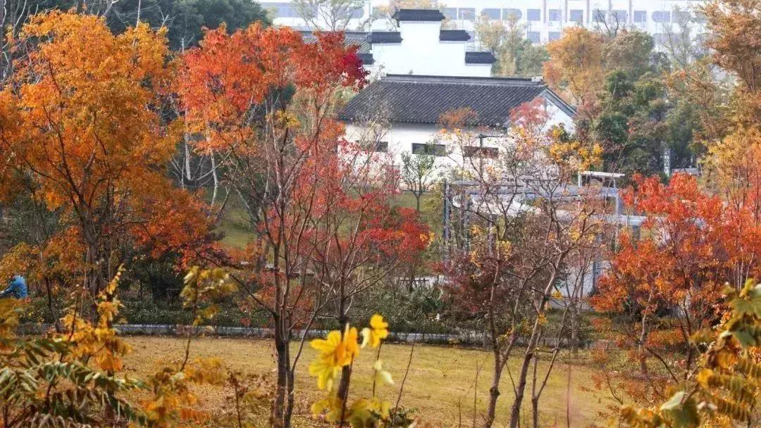 对不起我要去钟祥了图片,对不起我要去忙了日语