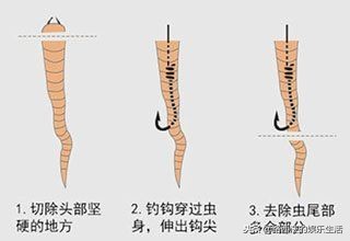 如何出海钓鱼,出海沉底钓鱼最简单的方法