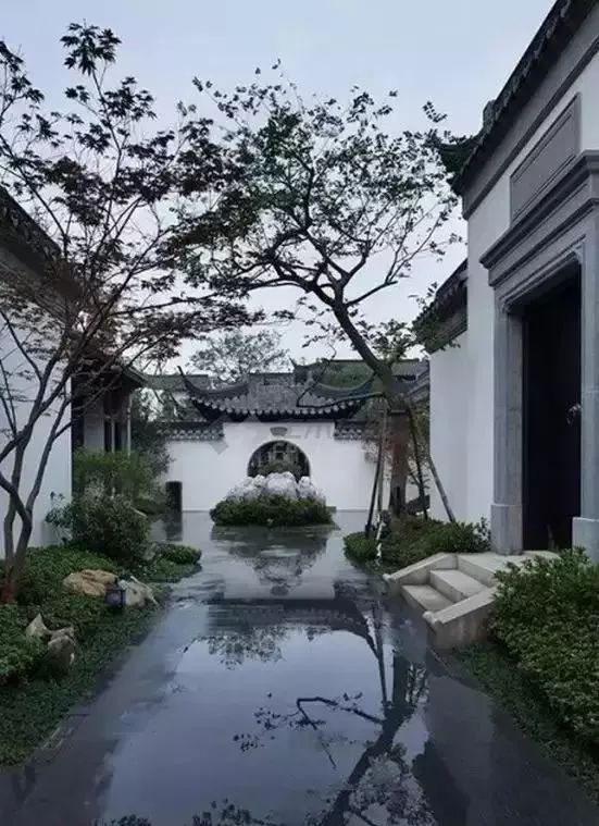 院子风景真美,中国人的院子